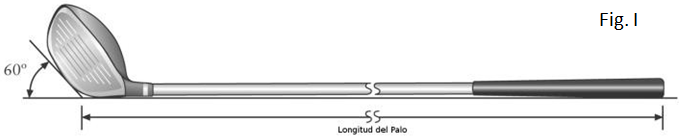 Figura I